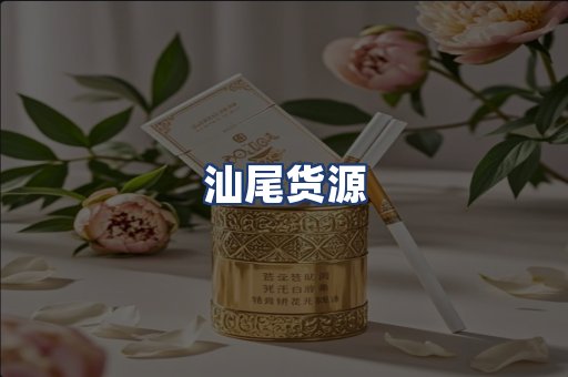 汕尾货源